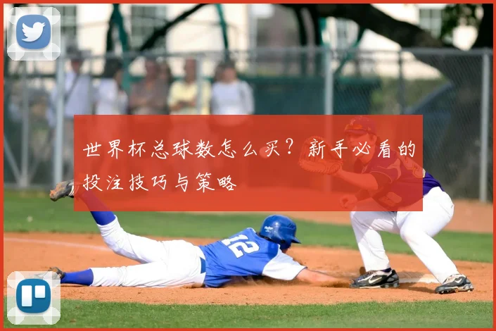 世界杯总球数怎么买？新手必看的投注技巧与策略