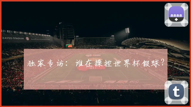 独家专访：谁在操控世界杯假球？