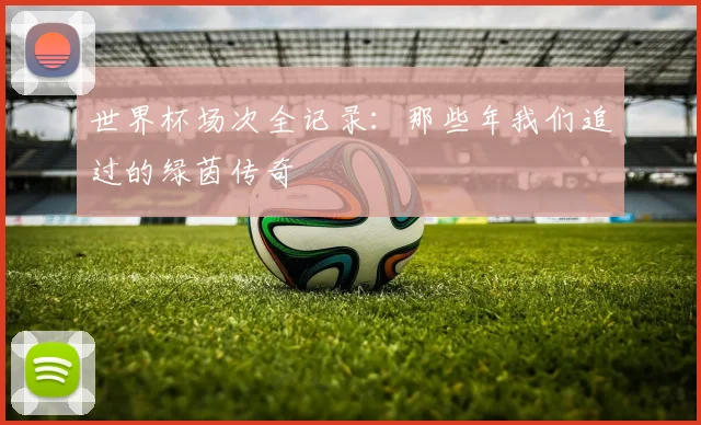 世界杯场次全记录:那些年我们追过的绿茵传奇