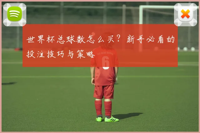 世界杯总球数怎么买？新手必看的投注技巧与策略