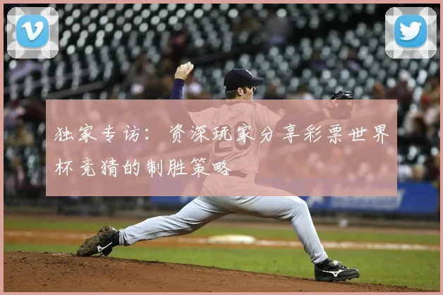 独家专访：资深玩家分享彩票世界杯竞猜的制胜策略